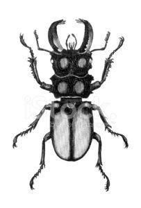 Zasunutá signál v rasteru #0124