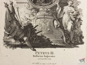 Křehká linie v mlze #0197