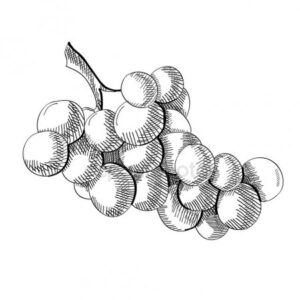 Drsná Výdech #0255