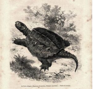 Vrstva pod světlem #0308