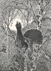 Zářez na prahu #0343