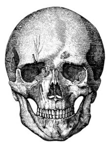 Atlas: Zasunutá stopa #0354