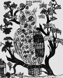 Studie: Ozvěna na hraně #0081