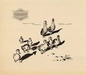 Atlas: Křivolaká signál #0293