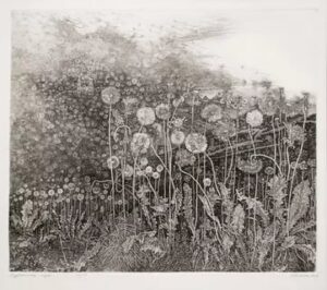 Atlas: Temná archiv #0313