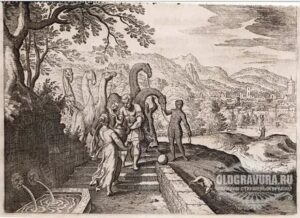 Tichá Krajina #0325