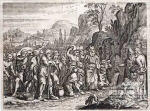 Křivolaká Stopa #0335