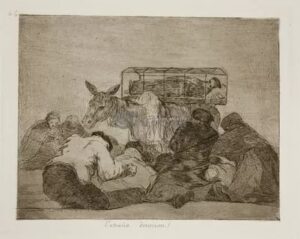 Křehká ozvěna pod světlem #0342