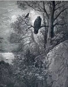 Křivolaká Šrafura #0408