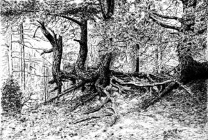 Mapa na hraně #0633